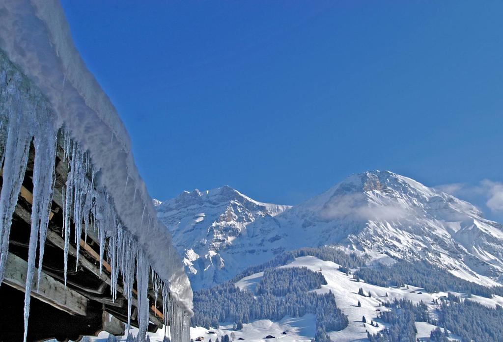 Hotel Steinmattli อาเดลโบเดิน ภายนอก รูปภาพ